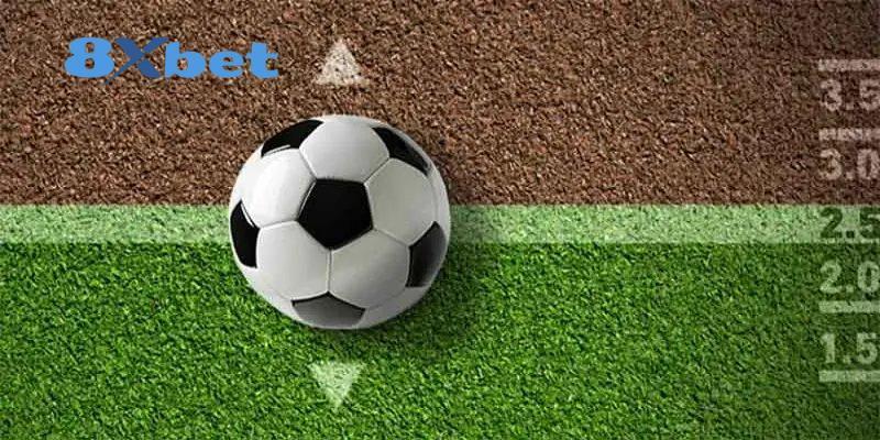 Cẩm Nang Tổng Quan Về World Cup 2026 Cho Người Mới Bắt Đầu Giới thiệu các tân binh mới tại giải đấu