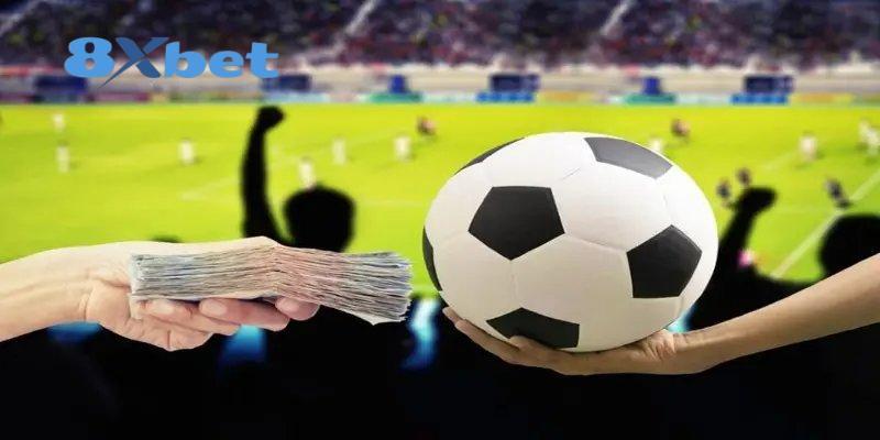 Cẩm Nang Tổng Quan Về World Cup 2026 Cho Người Mới Bắt Đầu Tổng quan về World Cup 2026